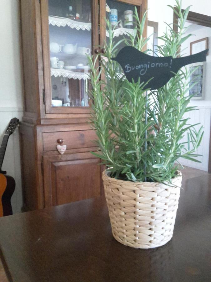 Agriturismo Cioccoleta أورفييتو المظهر الخارجي الصورة