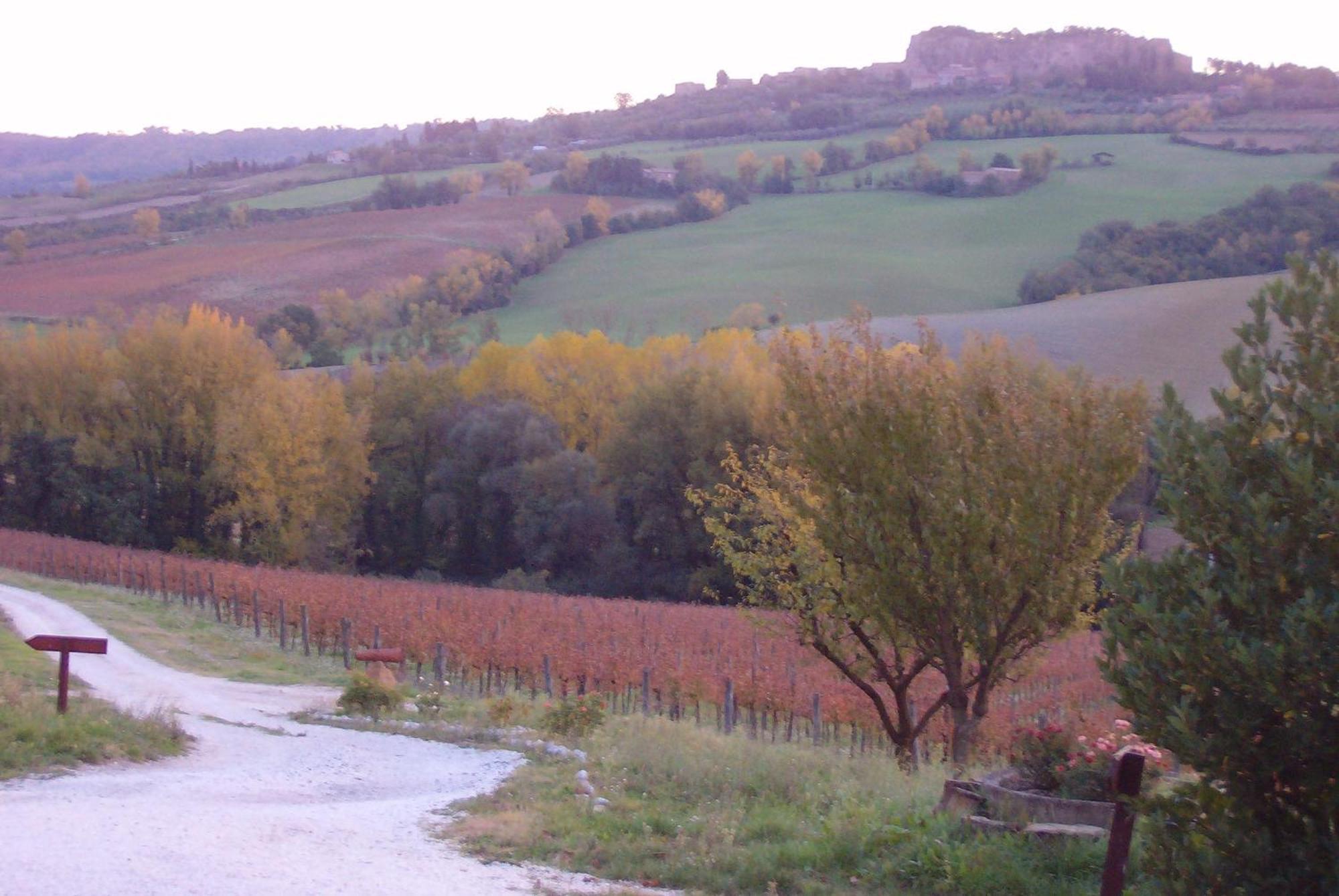 Agriturismo Cioccoleta أورفييتو المظهر الخارجي الصورة