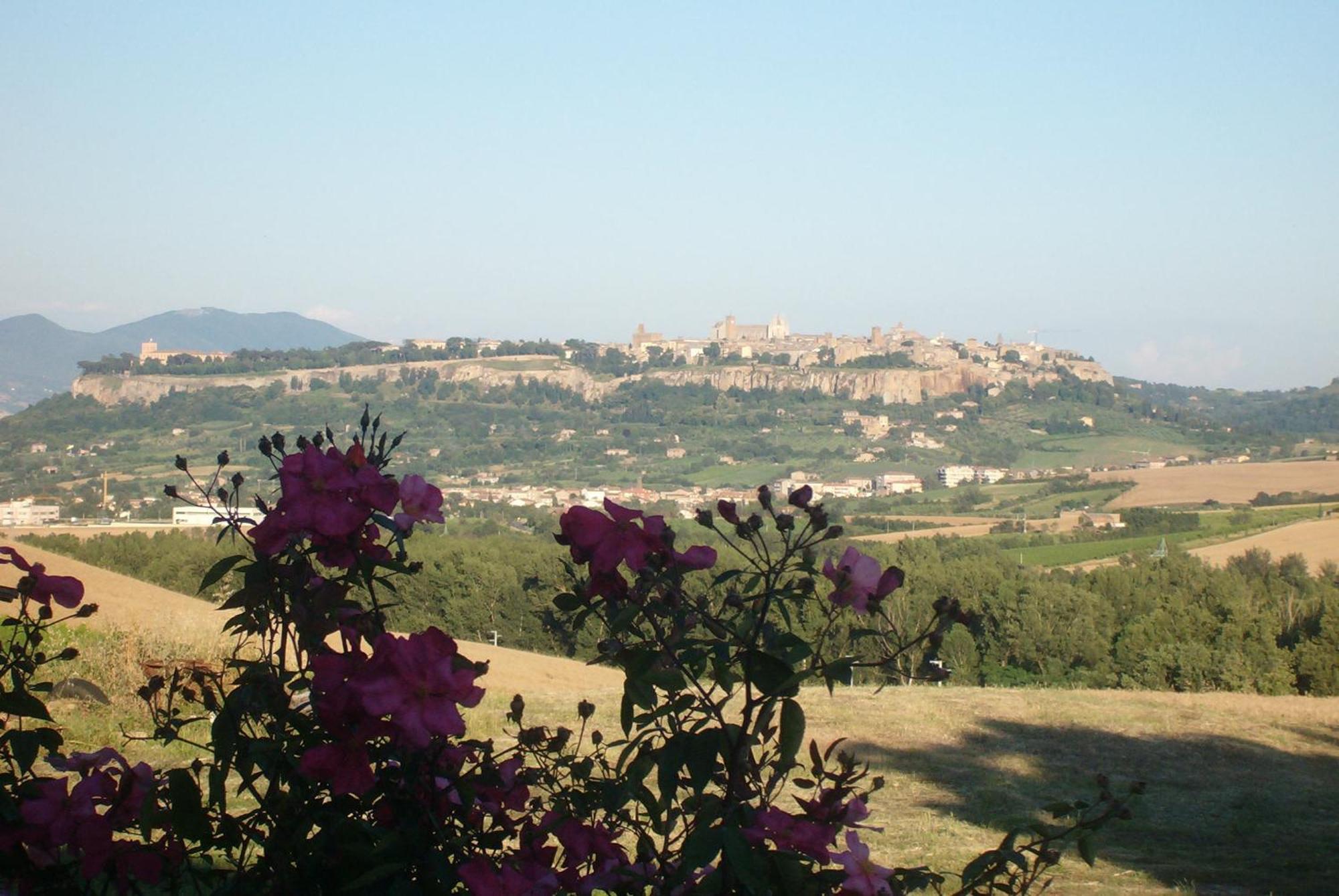 Agriturismo Cioccoleta أورفييتو المظهر الخارجي الصورة