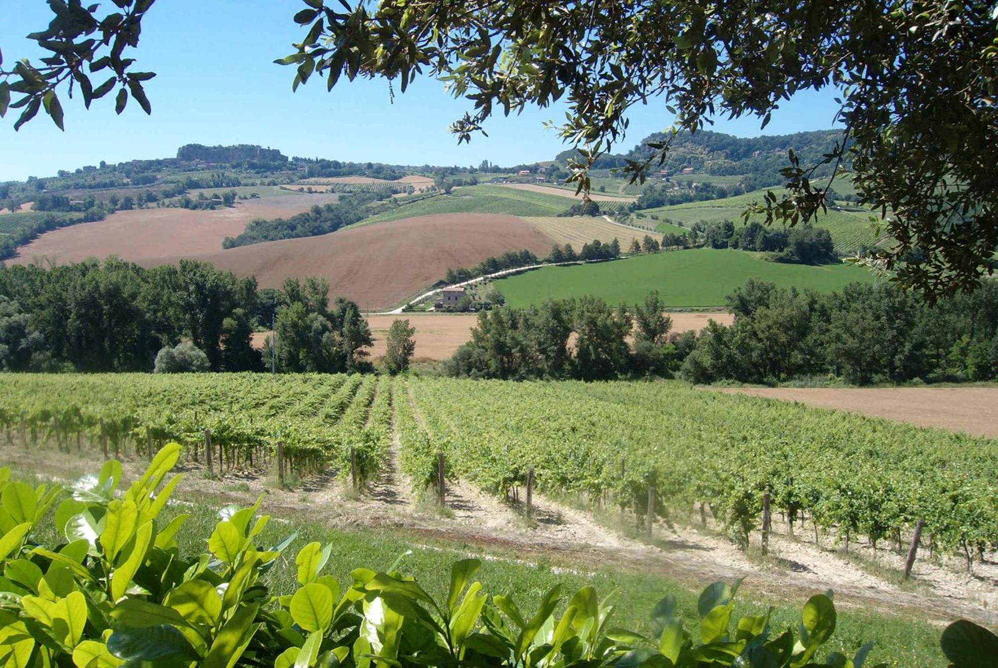 Agriturismo Cioccoleta أورفييتو المظهر الخارجي الصورة
