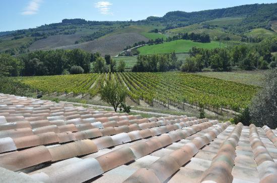 Agriturismo Cioccoleta أورفييتو المظهر الخارجي الصورة